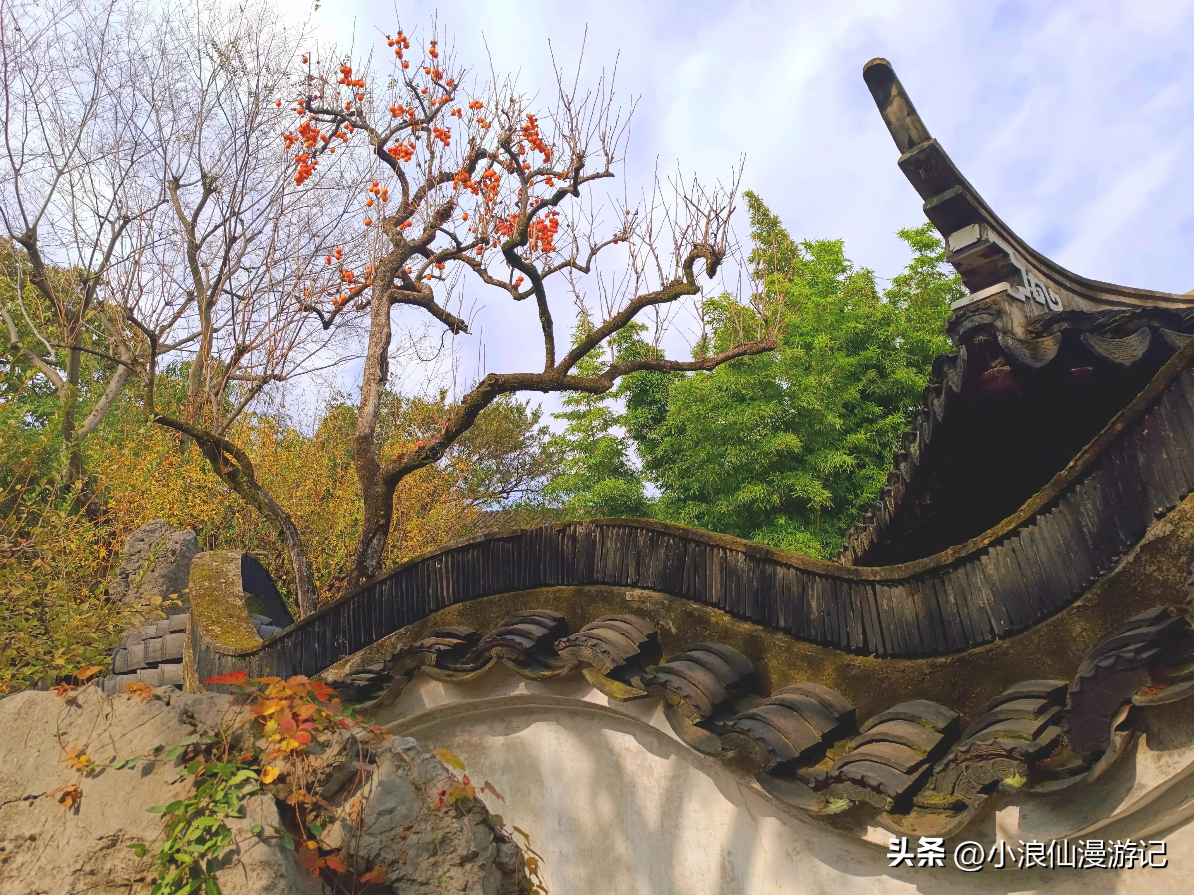 苏州园林怡园拍摄地点,苏州园林里的怡园是什么