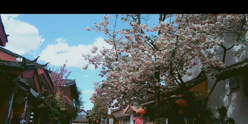 云南人在外省人眼里是什么样子的,外省人眼中的云南是怎样的