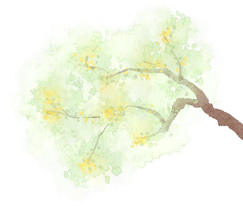 范扬的绘画作品,范扬画作