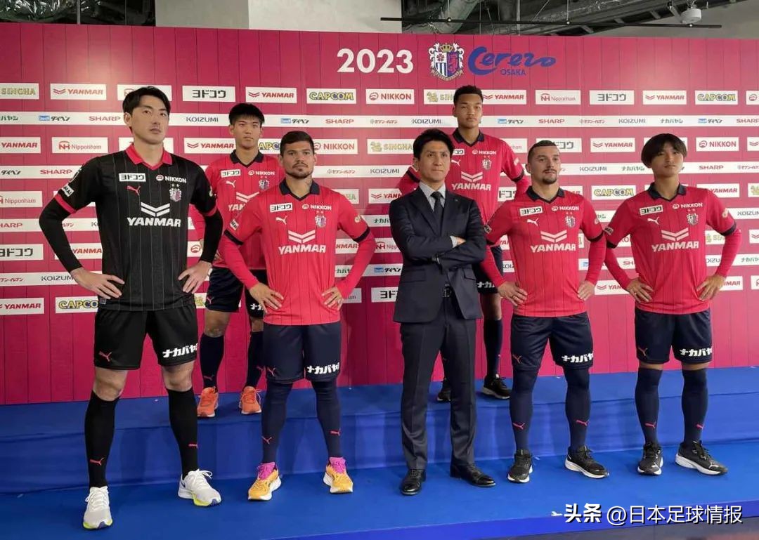 2024赛季日职联各队巡礼,今日日职联大阪樱花预测