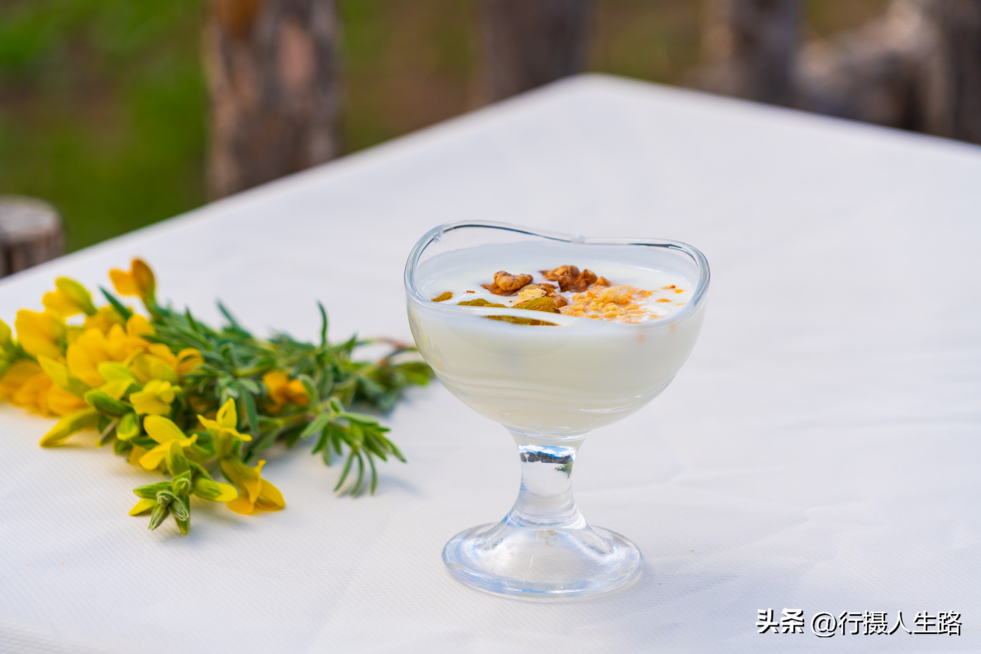 一路向北去黑龙江漠河,一路向北去寻找花海