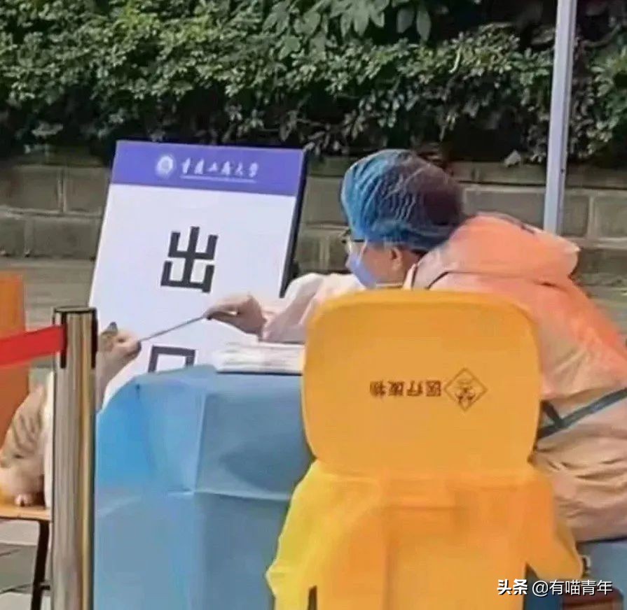 猫核酸检测有必要做吗,猫做核酸粤语视频