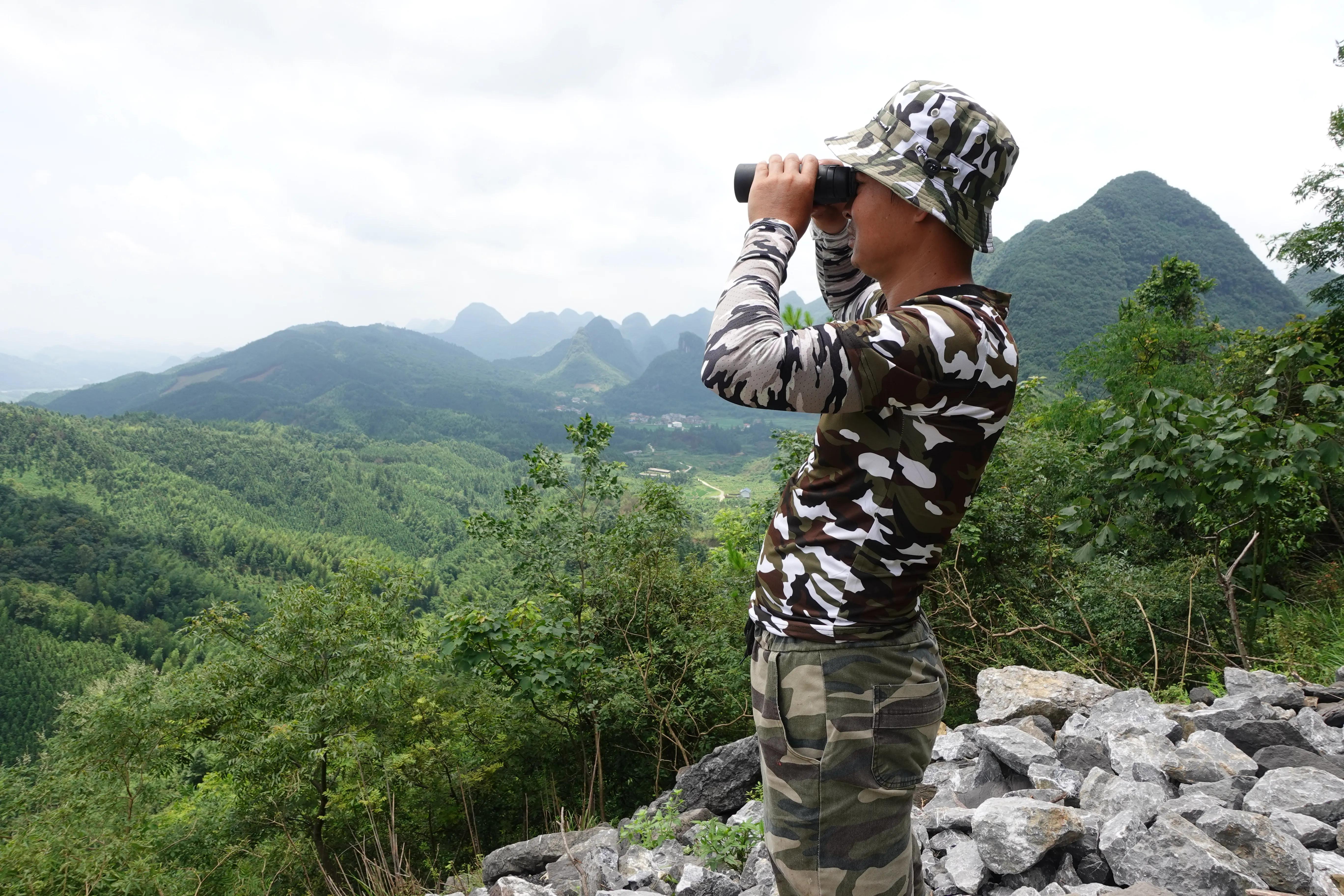 找蜜蜂望远镜视频,望远镜找野生蜜蜂
