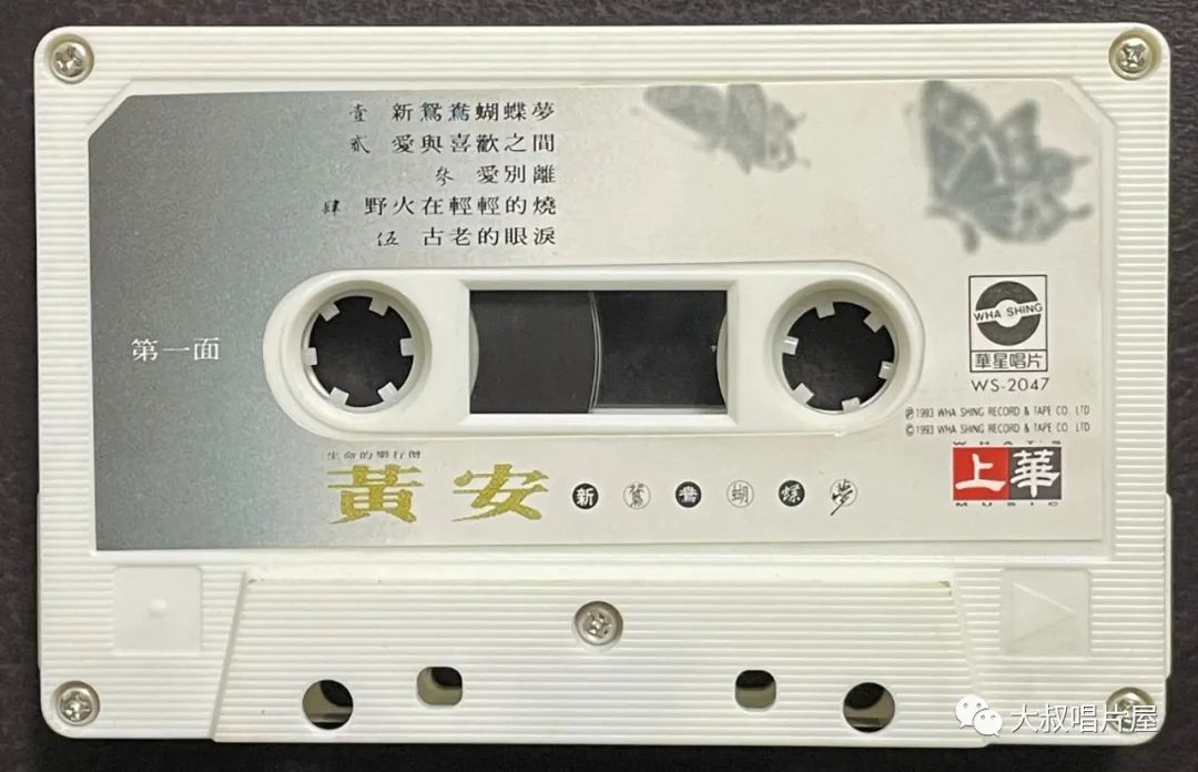 当年最火的50首经典歌,1993年华语乐坛神曲大爆发