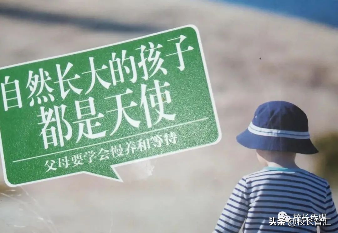 杨树军|“家有女儿”之11：每个自然长大的孩子都是天使