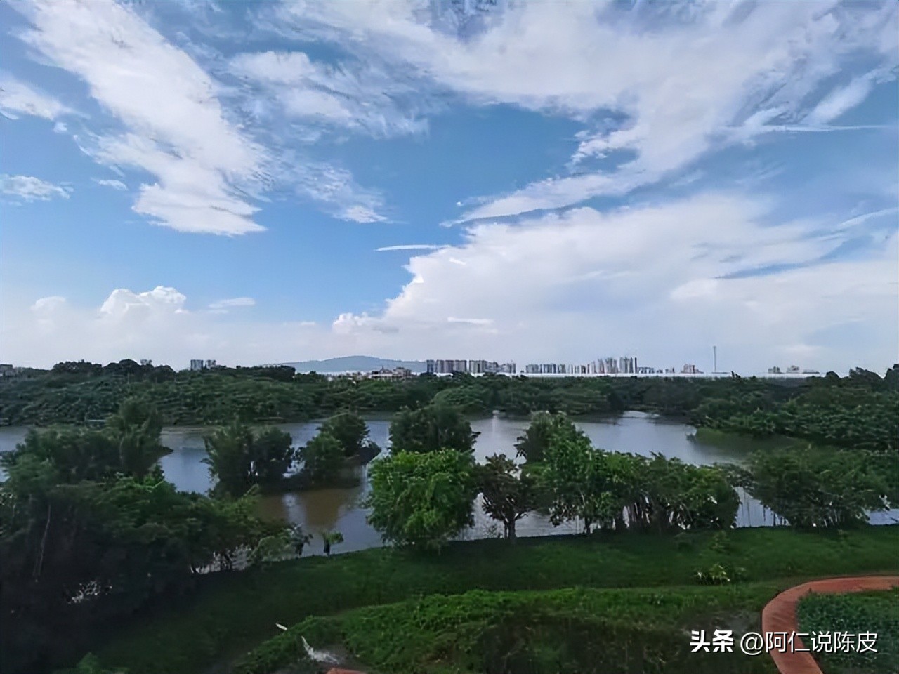 阿仁陈皮,阿仁谈陈皮