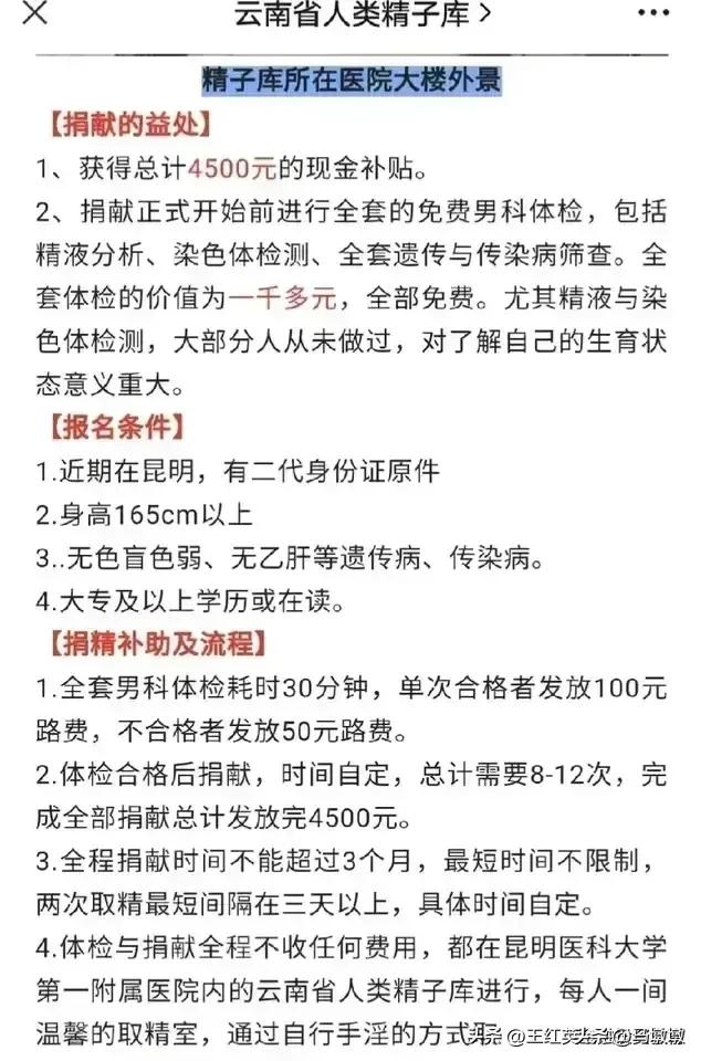要想富，捐精是条路？