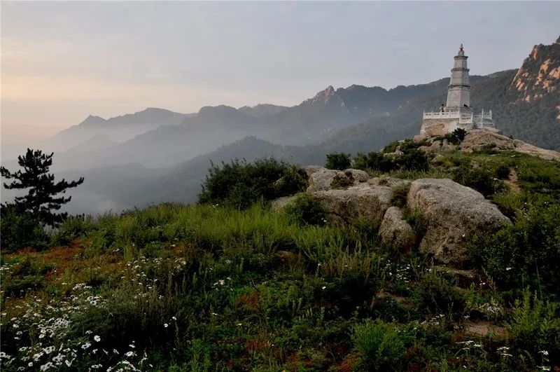 大同特色乡村旅游 (大同乡村旅游景点大全)