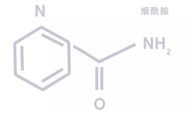 你的身体乳还没“向脸看齐”？