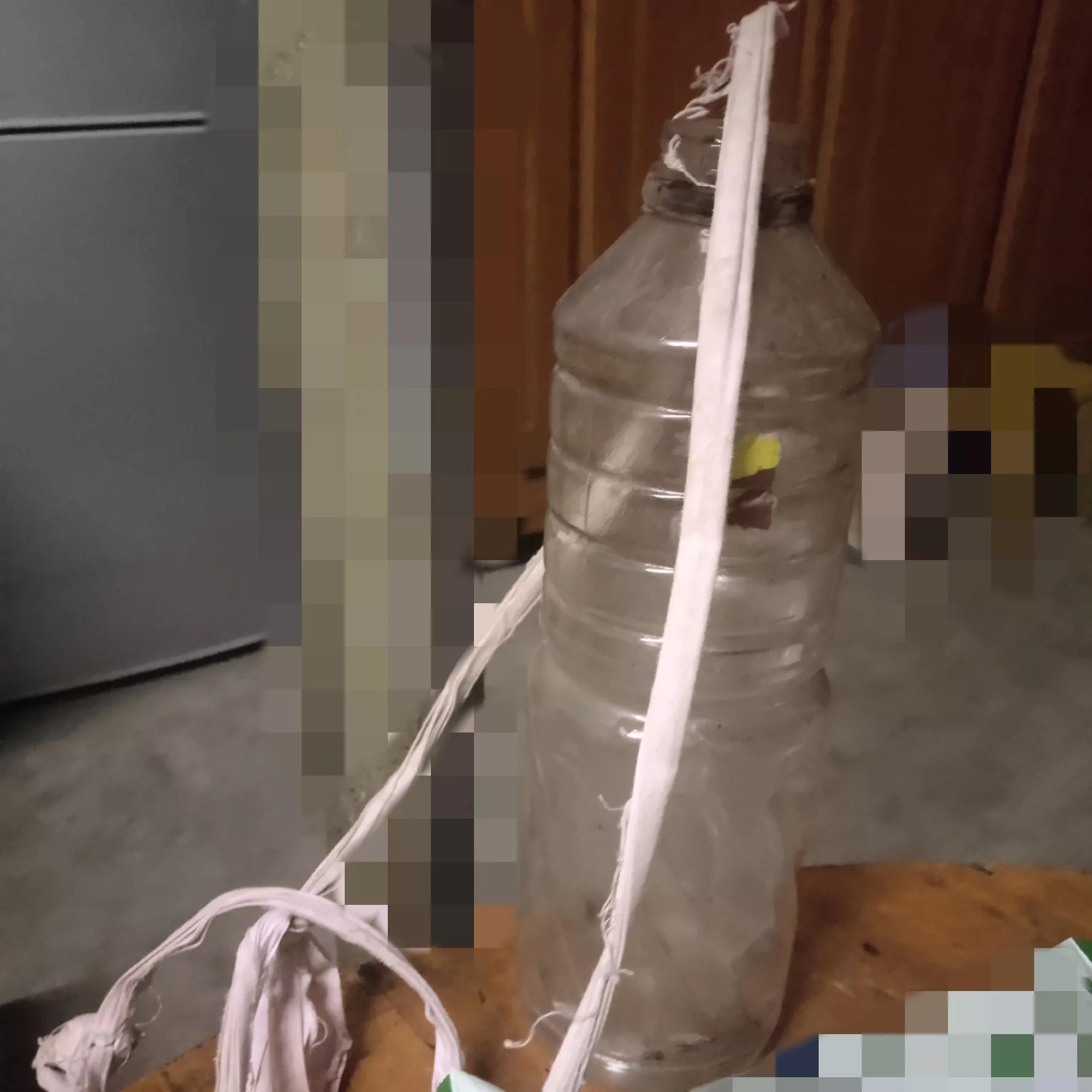 体验儿时找知了猴的乐趣,逮知了猴