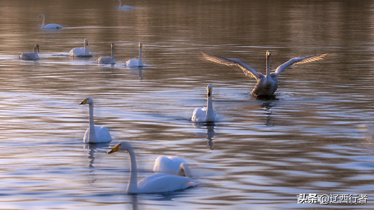漫步天使乐园(旅拍)