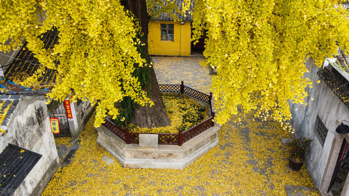 秋天的苏州必去的景点,苏州秋天小众景点推荐