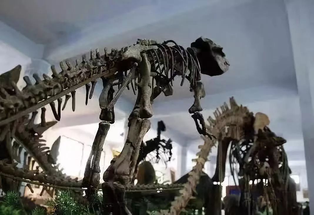 成都二仙桥属于哪个区,成都二仙桥