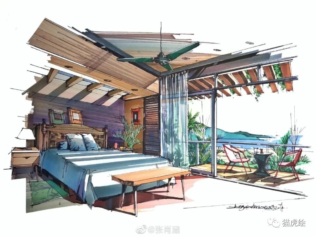 2022猫虎绘暑假手绘班招生简章「线上+线下」