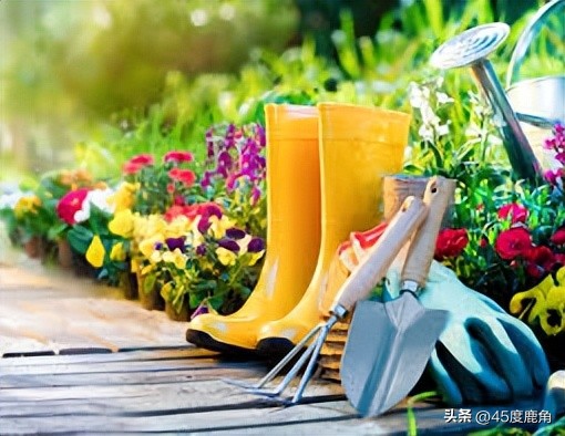 带你深透理解spring,关于spring的词汇