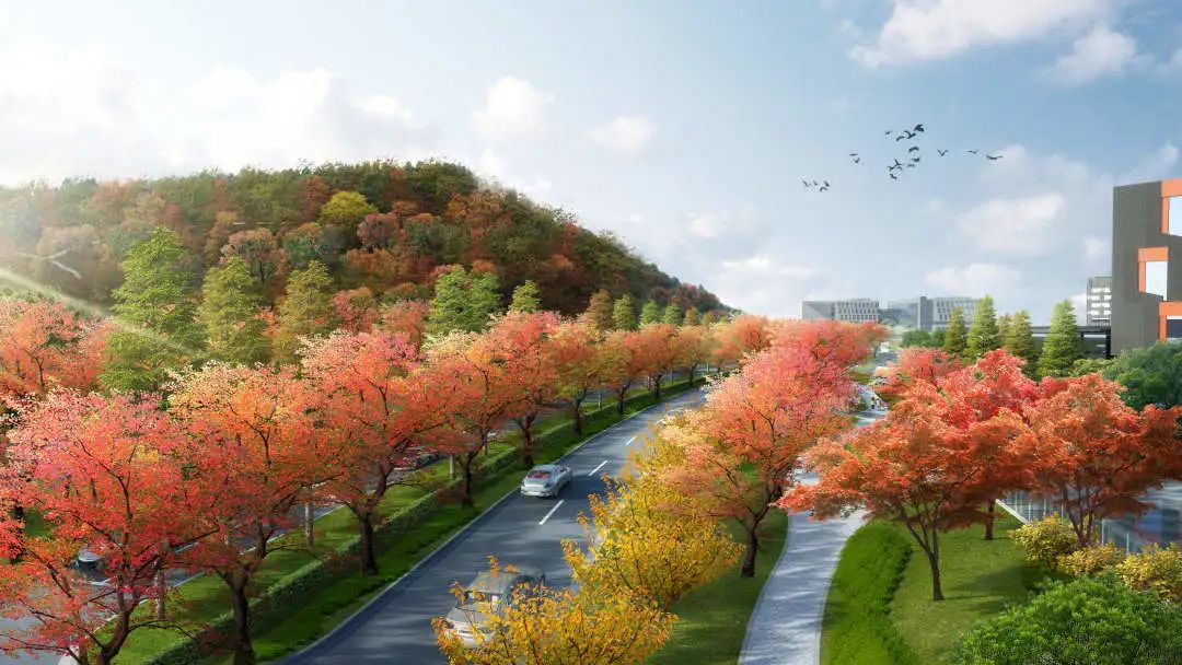 南大美景,南大美景图