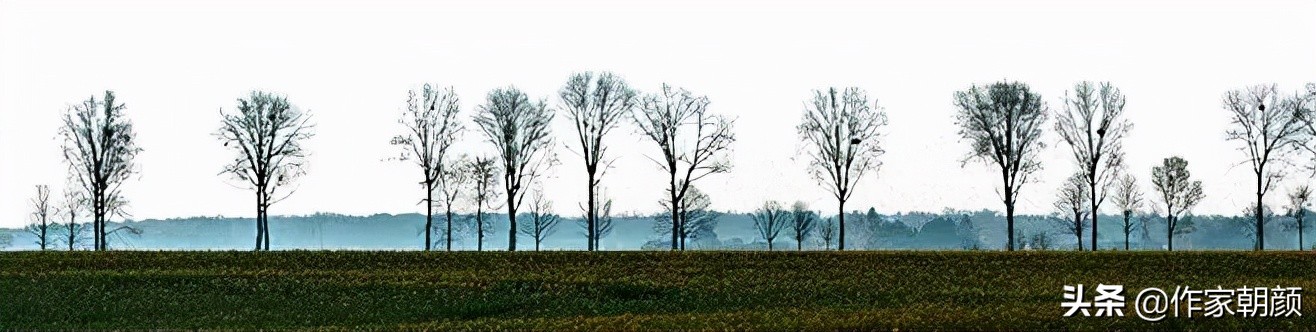 张炜作家国际影响力,张炜的文学节目