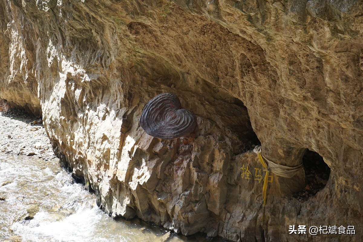 甘南大峪沟则岔石林,畅游甘肃青海西藏新疆