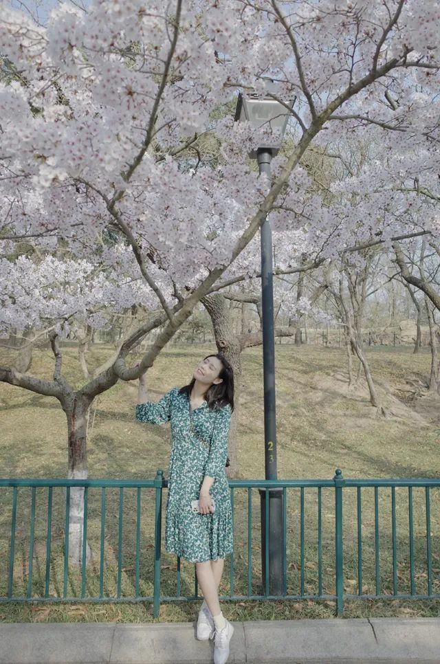 体坛美女照,体坛十大美女图片