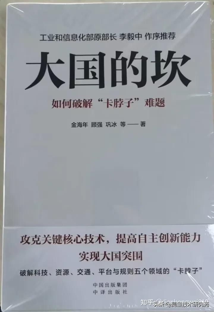 大国的坎这本书讲了什么,《大国的坎》