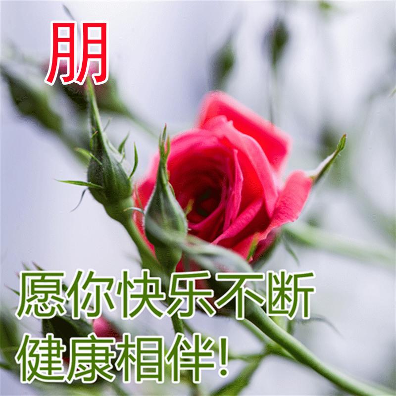 冬天早上祝福语最温馨的话图片,冬天早晨祝福语图片大全