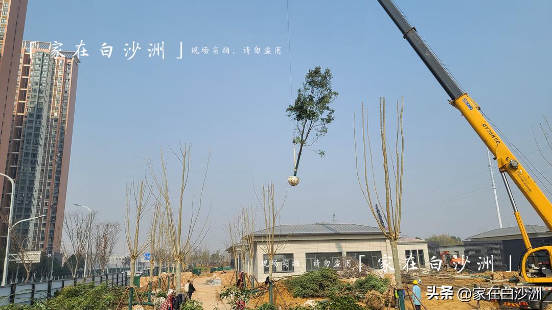 儿童乐园草坪,体育公园儿童足球场