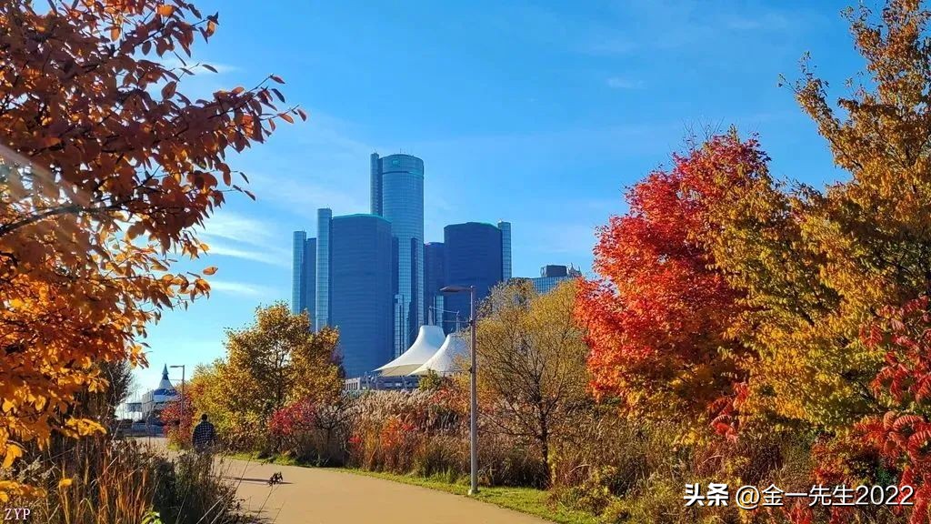 汇率是怎么确定出来的知乎,汇率是怎么定