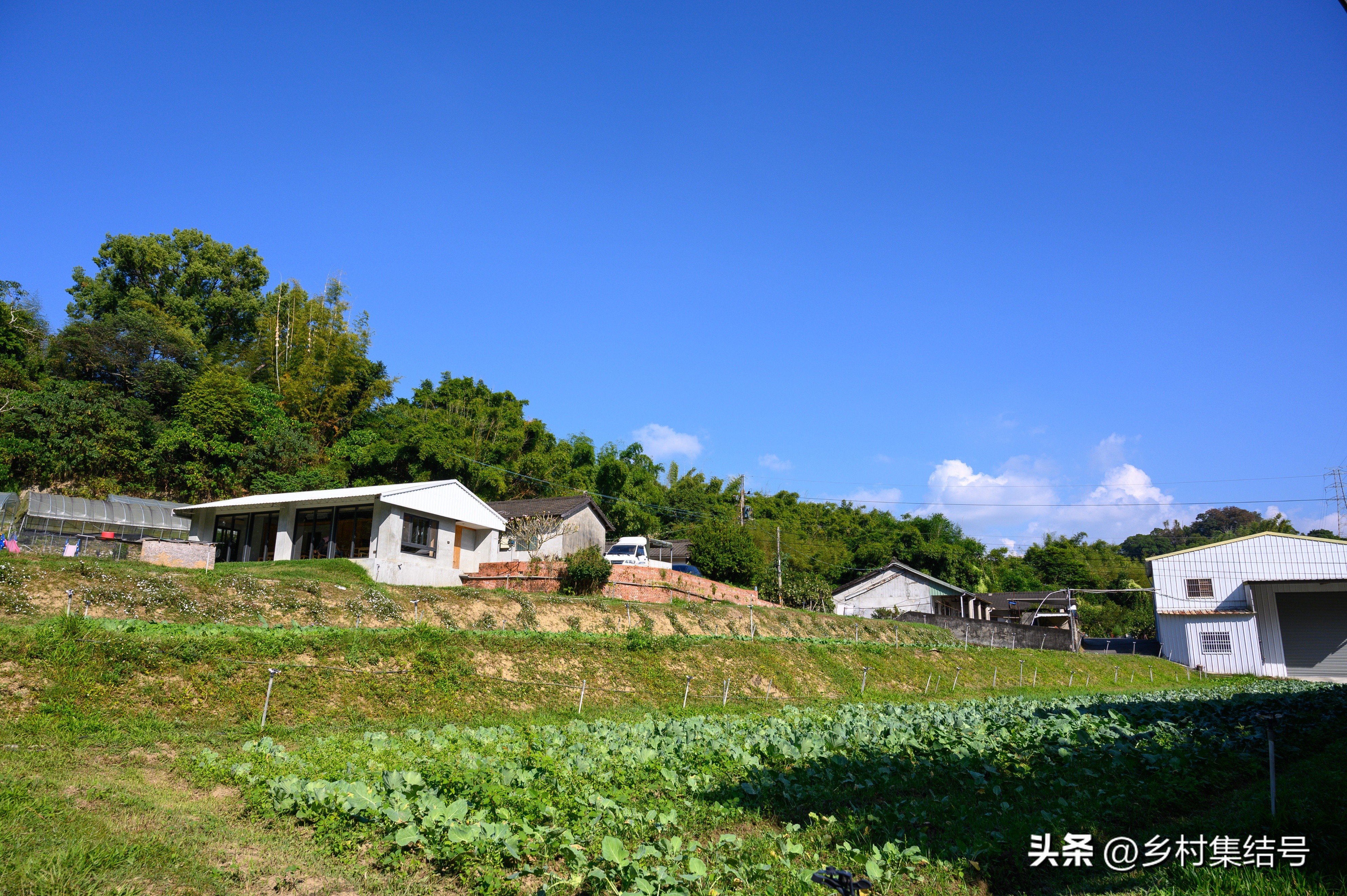 台湾小瓢虫农场,台湾小瓢虫