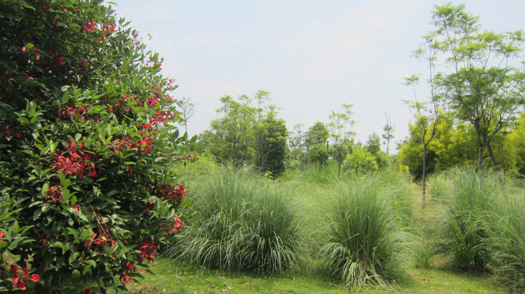 西昌邛海环湖自驾游攻略,川西旅游攻略自驾游西昌出发