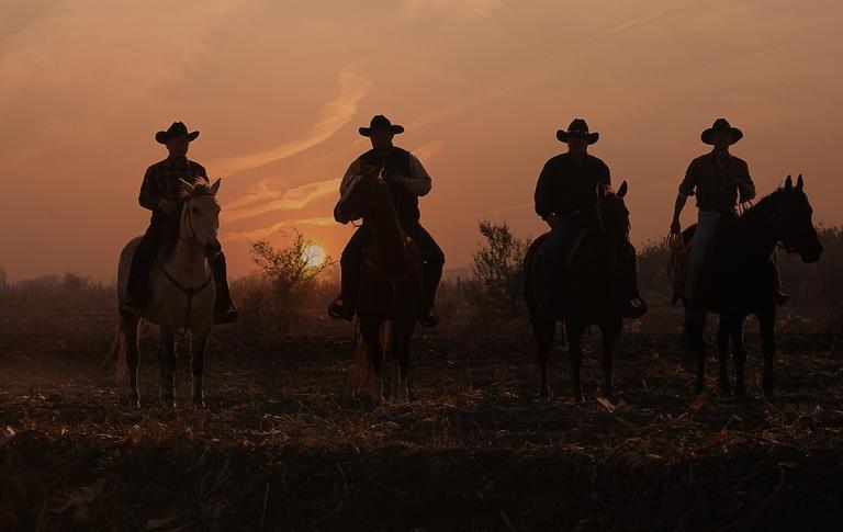 美国历史爱情电影《燃情岁月》，体现的价值与意义
