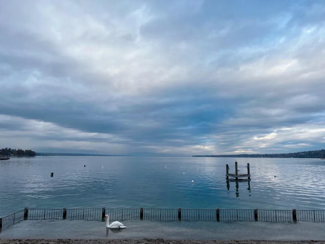 去欧洲几国游需要怎么办理护照,新加坡去欧洲旅游签证