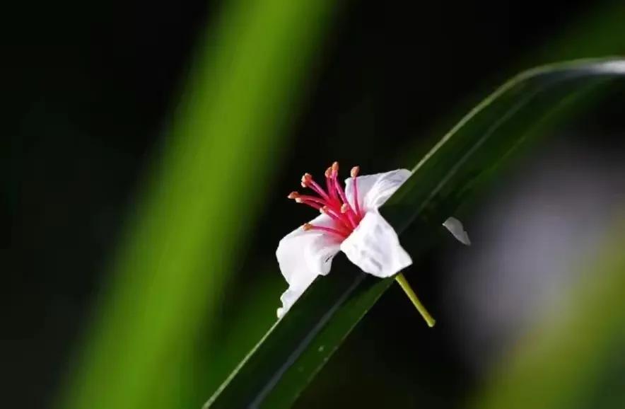 56岁阿姨陈述：老公中风后，日子反而过得比以前轻松自在了