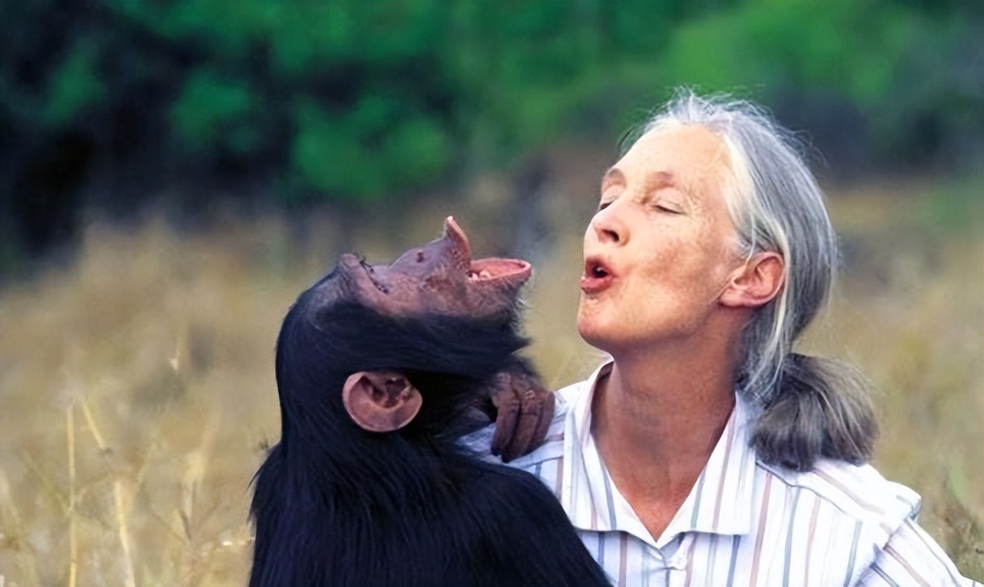 人类真的能杂交吗,人类动物能混血吗