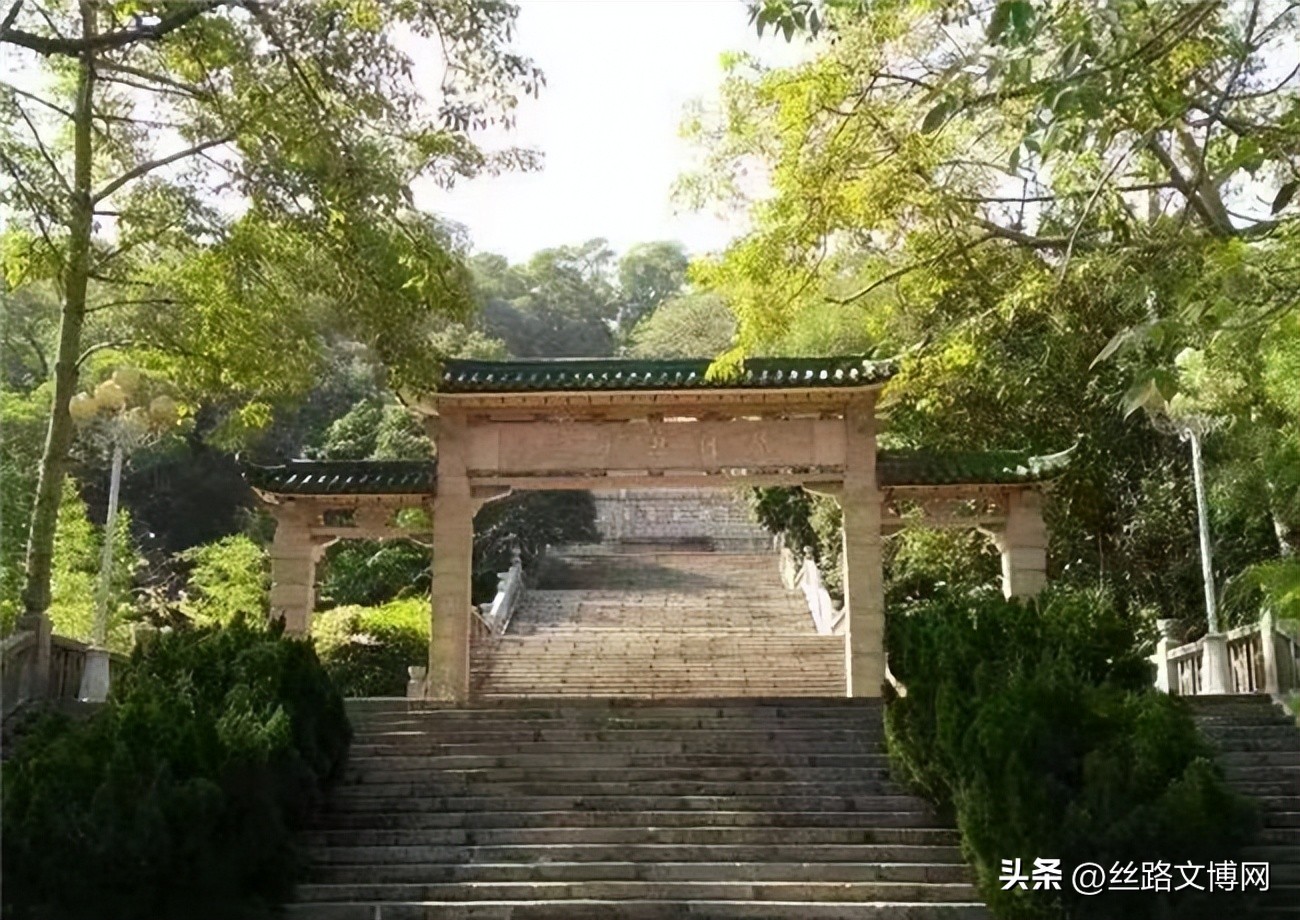 黄河名家‖诗咏魅力珠海