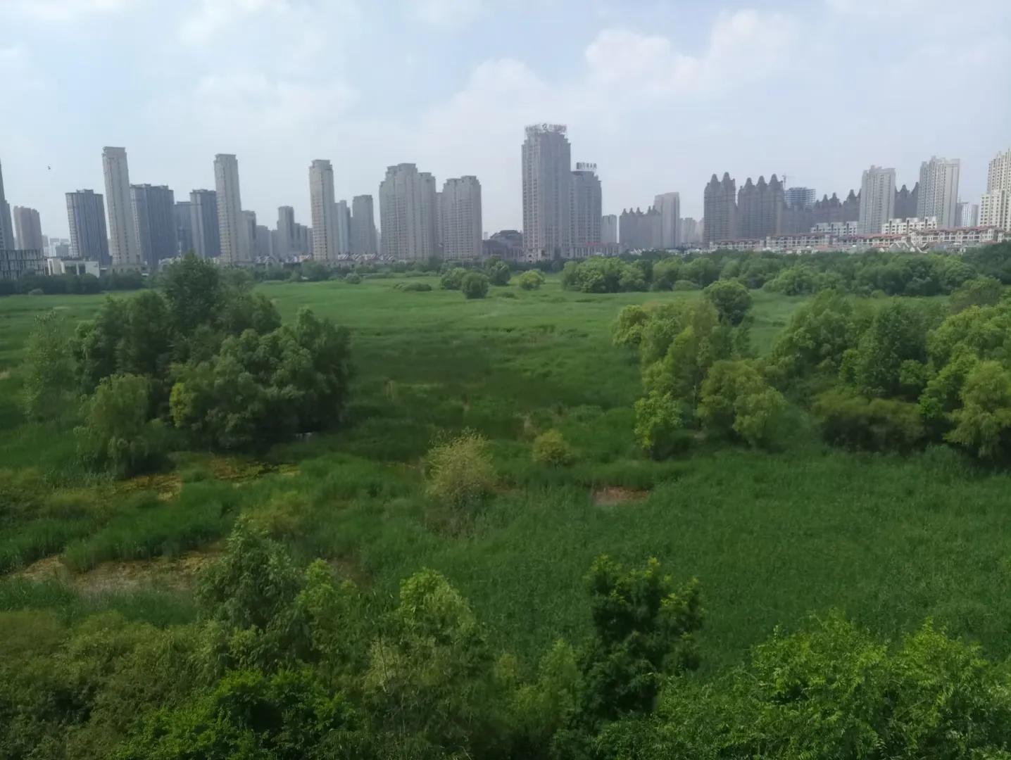 群力公园盘点,群力新区城市湿地公园