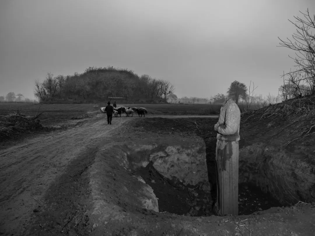 中国街拍最新头条,中国街拍每日一图