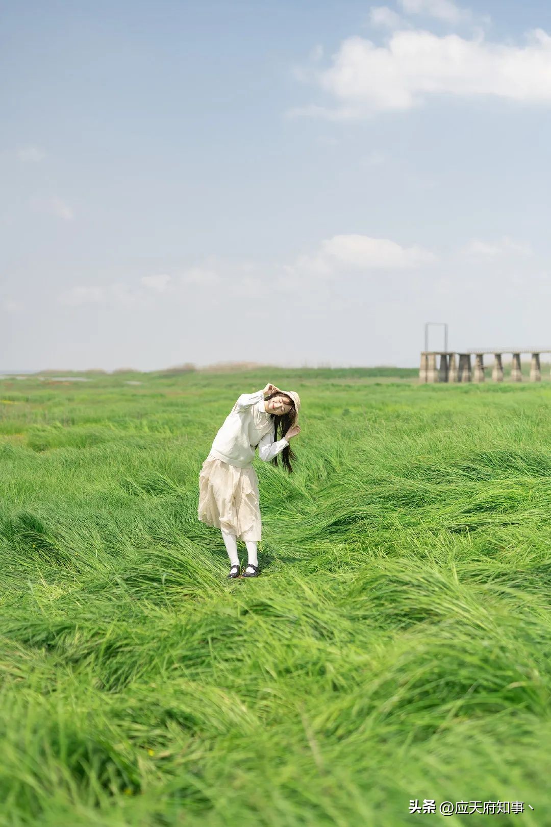 鍗椾含鐗逛骇绯曠偣,鍗椾含骞磋揣鐗逛骇