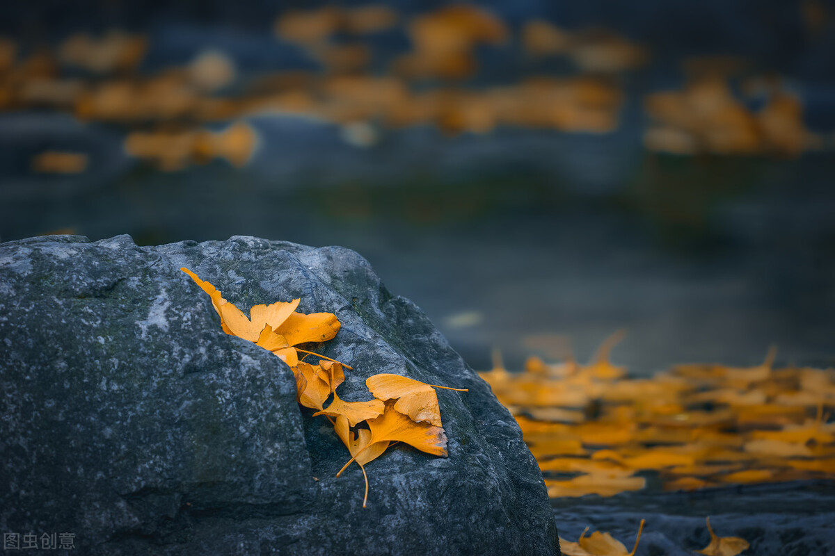 人老了有三句话千万不要对子女说,人老了子女靠不住语句