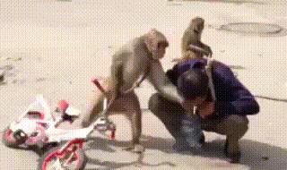 护士手术前脱毛,护士手术前剃光头