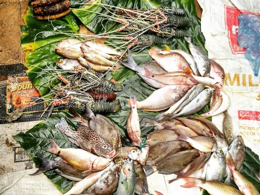 太平洋岛国斐济，人口89万，对中国人免签，带大家看看