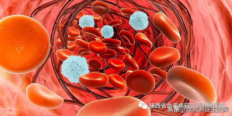 血小板只有一个怎么办,血小板个位数意味着什么