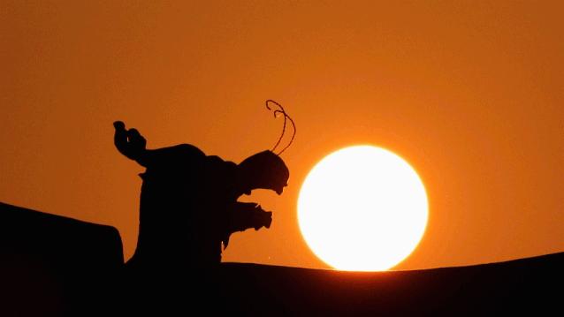 怎样才是正确的摄影拍摄姿势,学会这9个摄影技巧