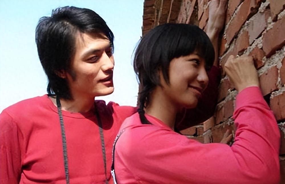 王珞丹丑小鸭的逆袭,王珞丹为什么能东山再起