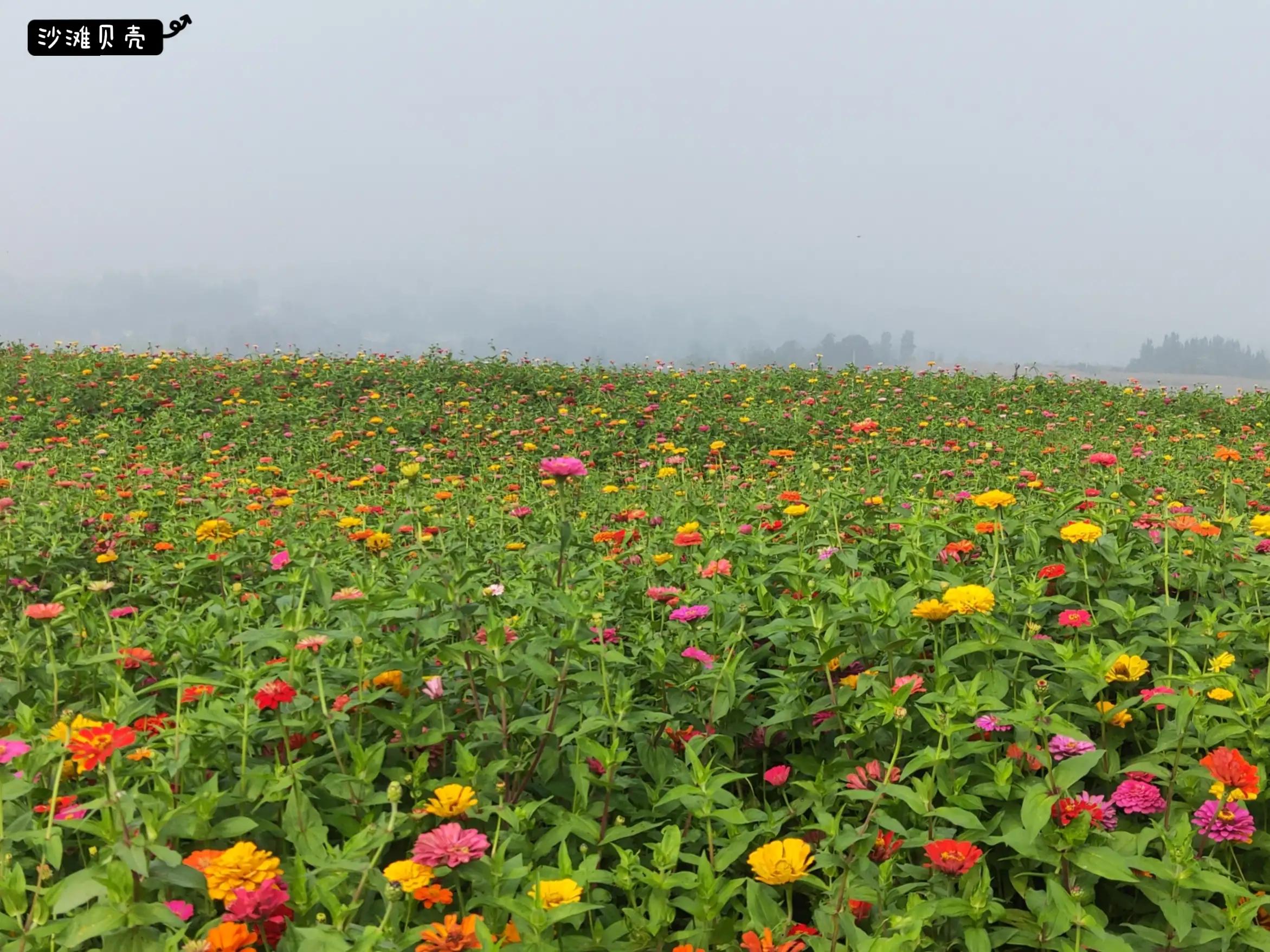 如何面对三观不同的老公,嫁一个不靠谱的老公是什么感觉