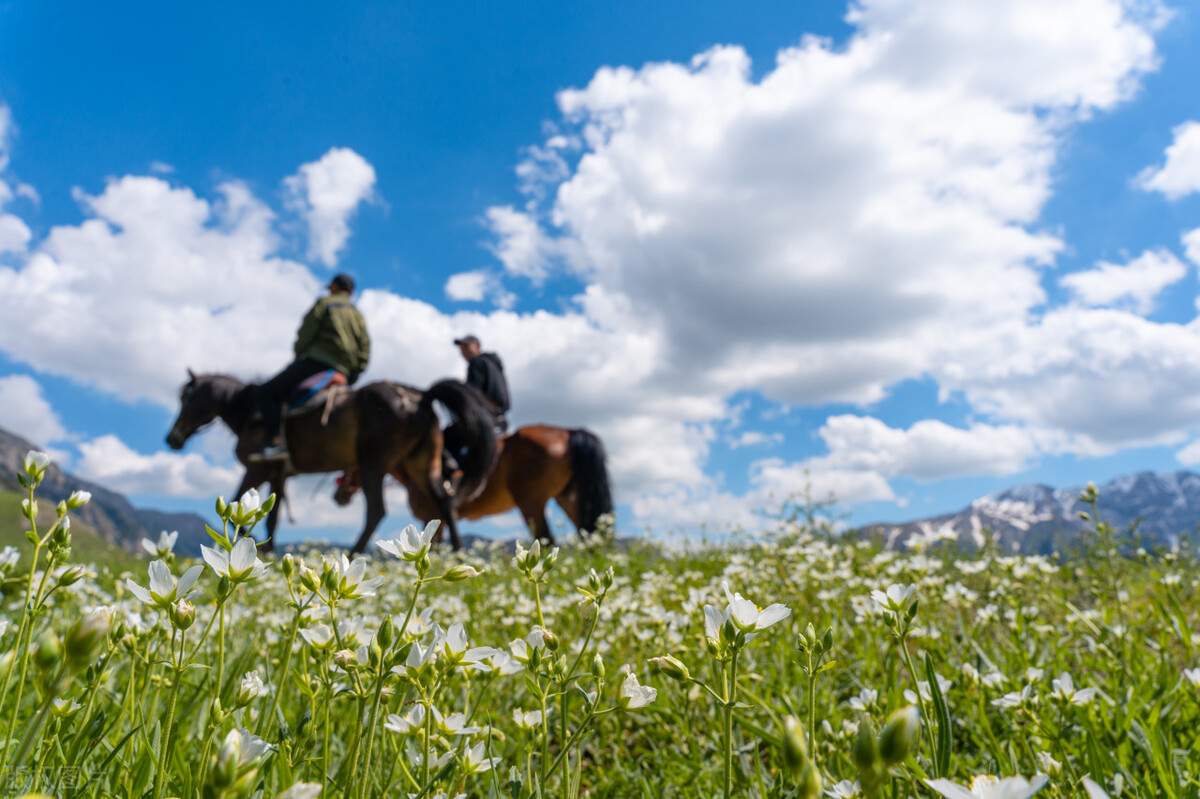 在草原上骑马是一种享受,草原骑马的真实感受