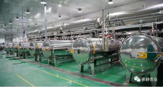 脱皮玉米粒怎么做蒸糕,脱皮玉米粒是怎么脱皮的