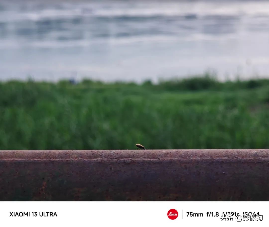 小米13Ultra影像评测,红米k70pro和小米13ultra哪个拍照好