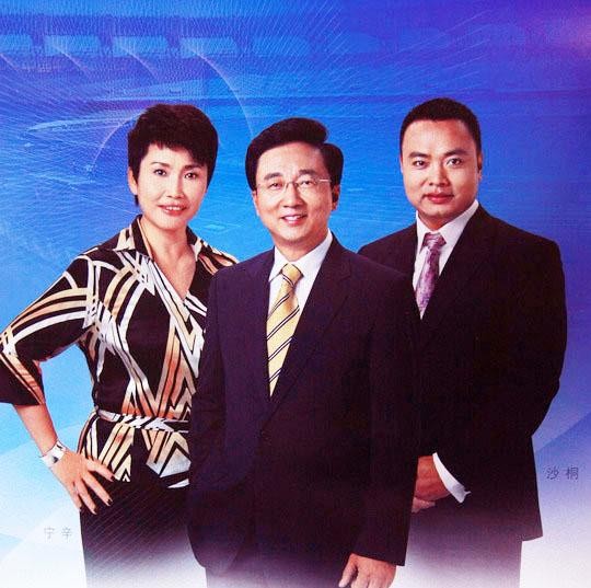 央视主持人宁辛现在去哪里了,央视宁辛近况