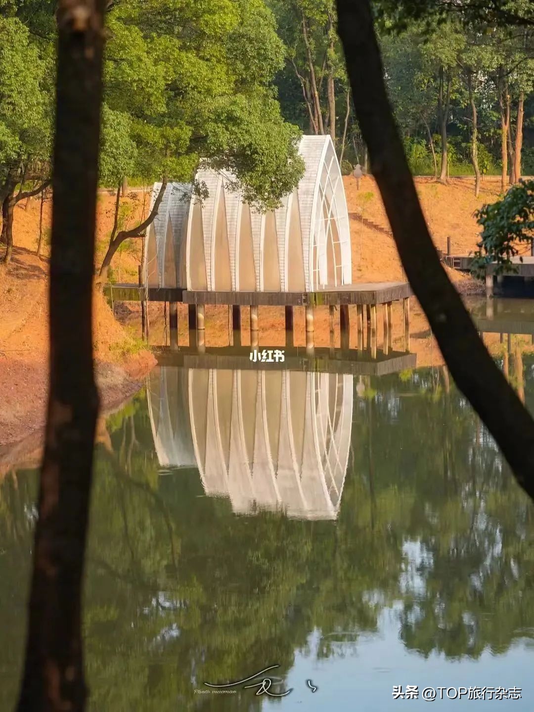 长沙秋景漂亮的地方,长沙周边秋景