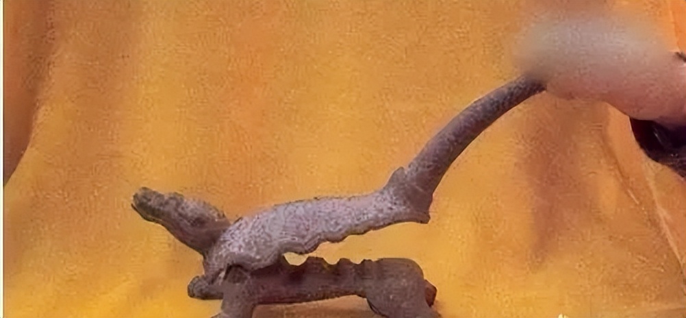 中国历史上对女性实施的酷刑有哪些？